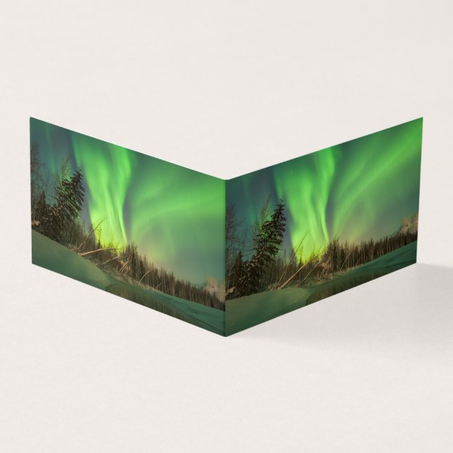 Aurora d'épinette penchée (Outside)