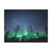 Aurora Forest