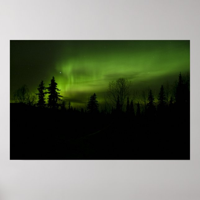 Aurora over Denali print (Front)