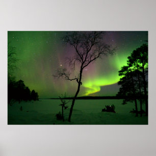 Aurora Poster