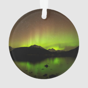 Aurora réflectif