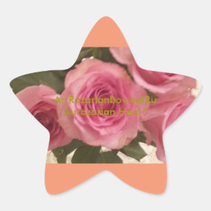 Aurozarian Heal " Star Sticker