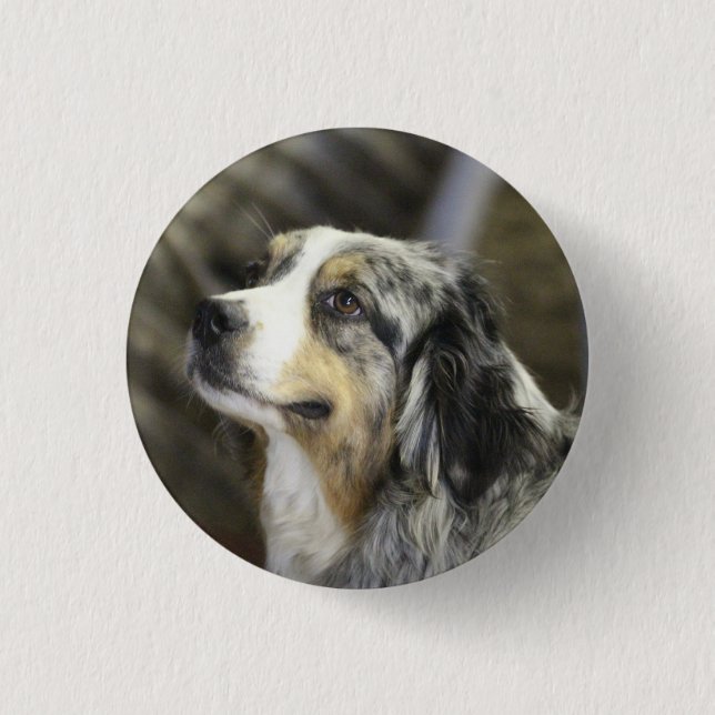 Aussie  1 inch round button (Front)
