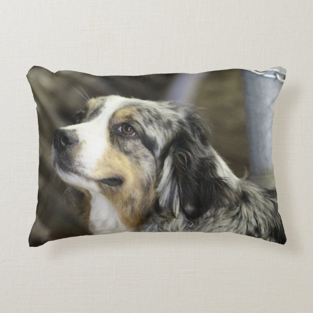 Aussie  accent pillow (Front)