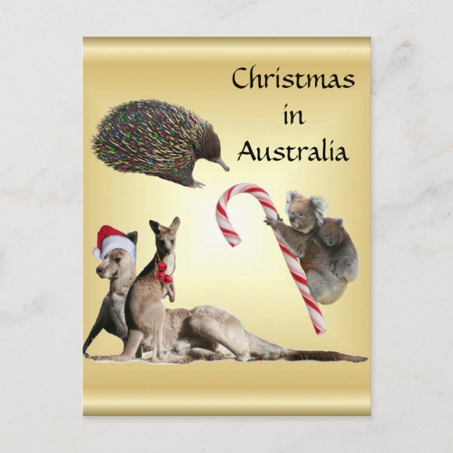 Aussie Animal Christmas Customisable Holiday Postcard (Front)