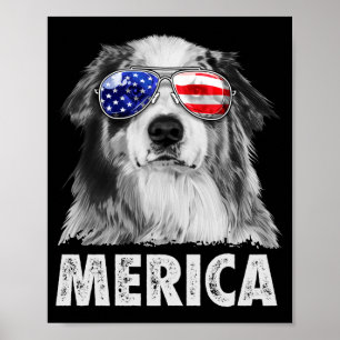 Aussie australian shepherd 4th of july merica poster