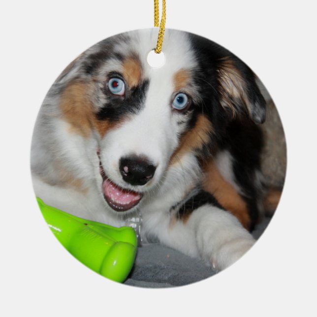 aussie blue merle puppy.png ceramic ornament (Front)