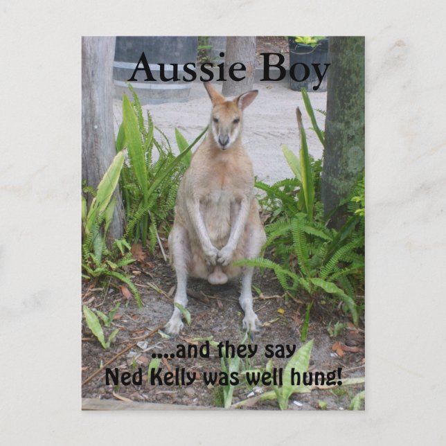 Aussie Boy, postcard (Front)