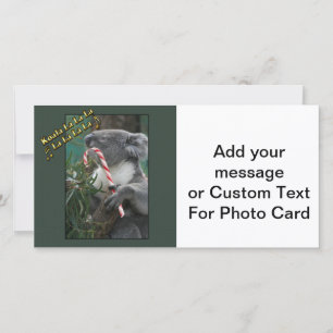 Aussie Christmas Koala with Candy Cane Holiday Card