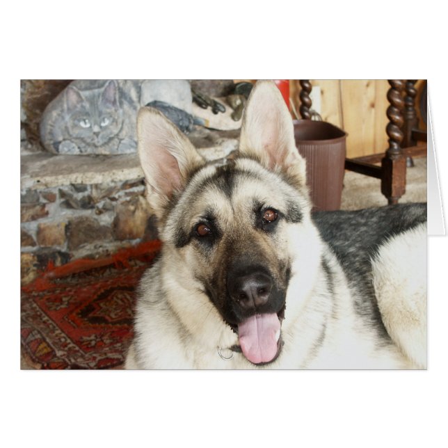 Aussie Close Up (Front Horizontal)