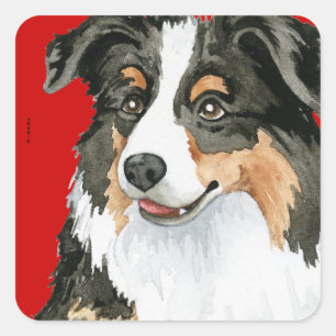 Aussie Colour Block Square Sticker