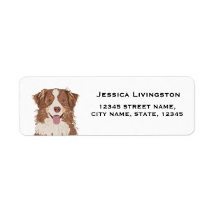 aussie dog australian shepherd return address