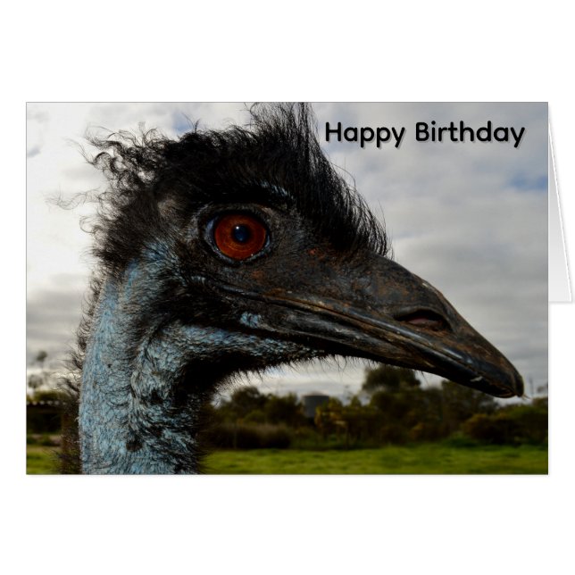 Aussie Emu Attraction,Birthday Card (Front Horizontal)