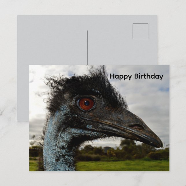Aussie Emu Attraction, Birthday Postcard (Front/Back)
