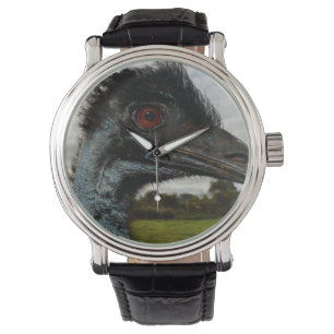 Aussie Emu Attraction, Watch