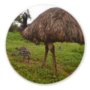 Aussie Emu With Chicks, Ceramic Knob