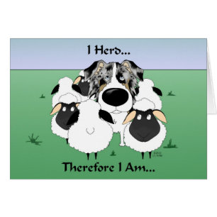 Aussie - I Herd...Therefore I Am Card