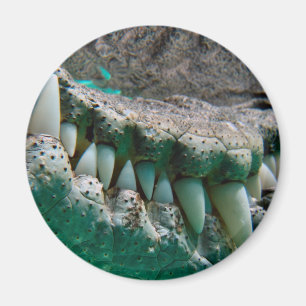 Aussie Icon - Big Croc Terry 2 - Magnet