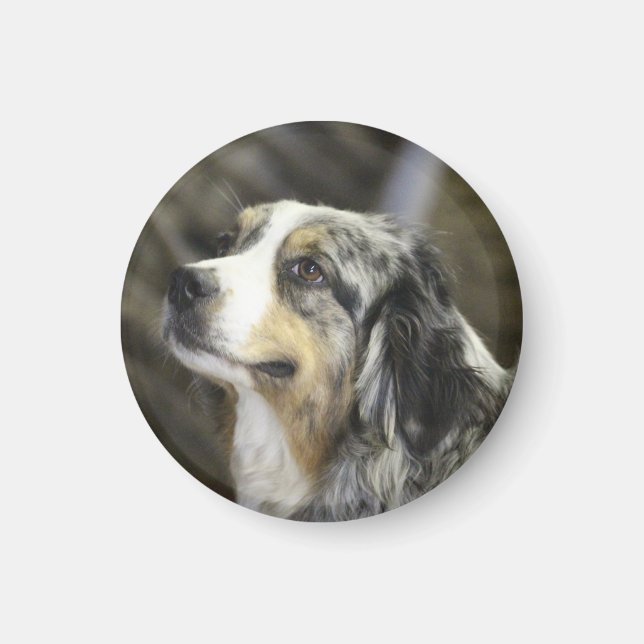 Aussie  magnet (Front)