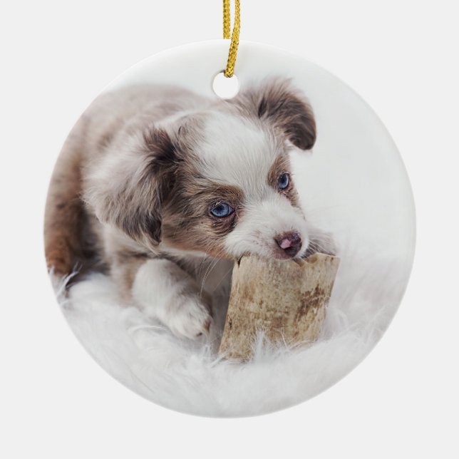 aussie red merle pup ceramic ornament (Front)