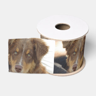 aussie red tri pup grosgrain ribbon