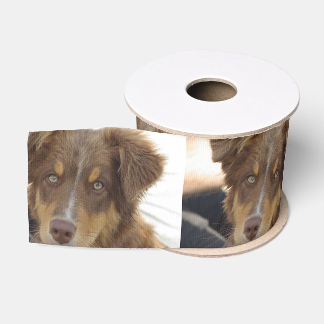 aussie red tri pup grosgrain ribbon (Spool)