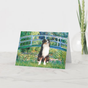 Aussie Shep (Tri2) - Bridge Card