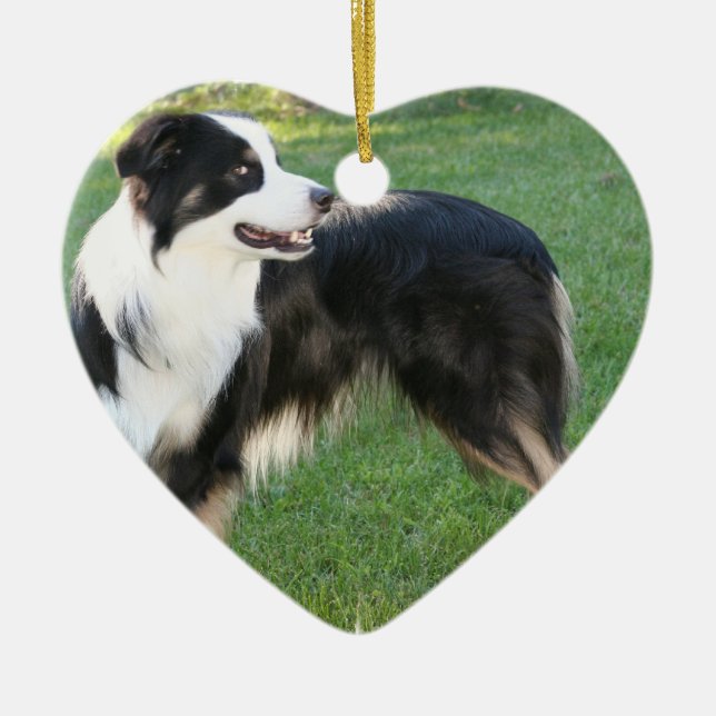 Aussie Shepherd  Ornament (Front)