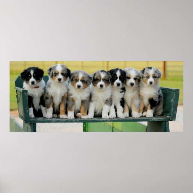 Aussie Wagon Fun Poster (Front)