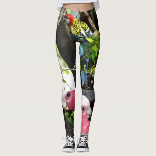 Aussie Wildlife Leggings