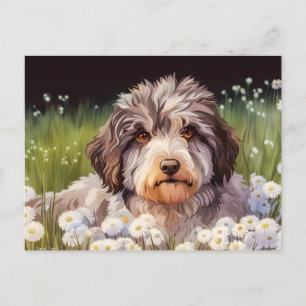Aussiedoodle mit Gänseblümchen Postcard
