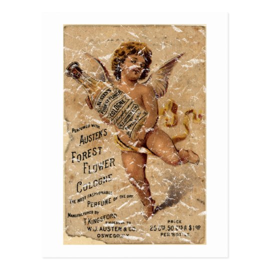 Austen's Forest Flower-1908 - distressed Postcard