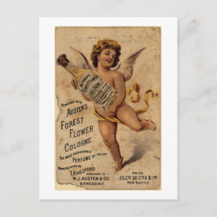 Austen's Forest Flower-1908 Postcard