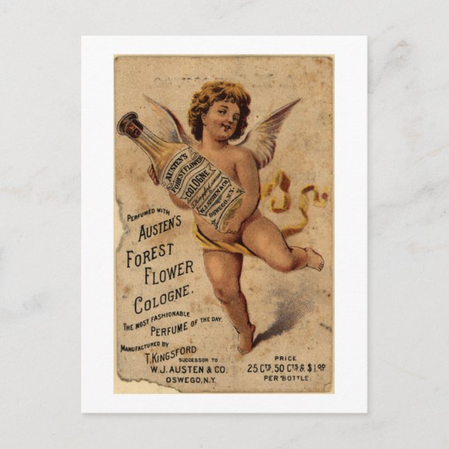 Austen's Forest Flower-1908 Postcard (Front)
