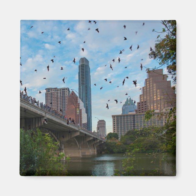 Austin BATS Downtown Magnet (Front)