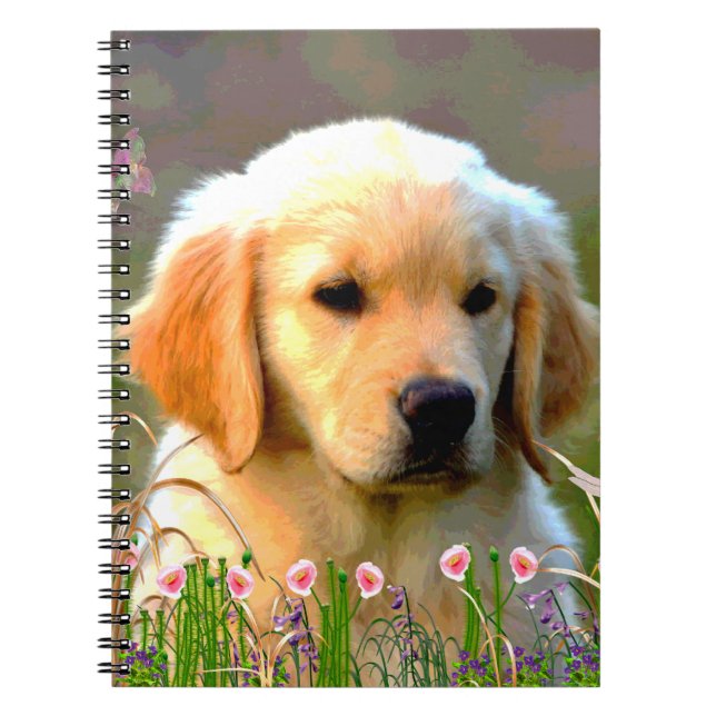 Austin Golden Labrador Puppy Notebook (Front)