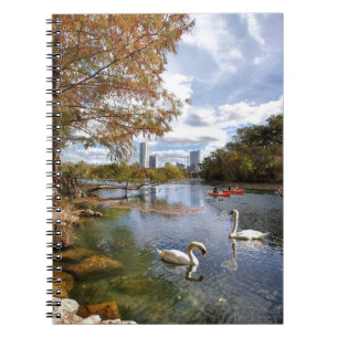 Austin, Texas Barton Creek / Ladybird Lake Swans Notebook