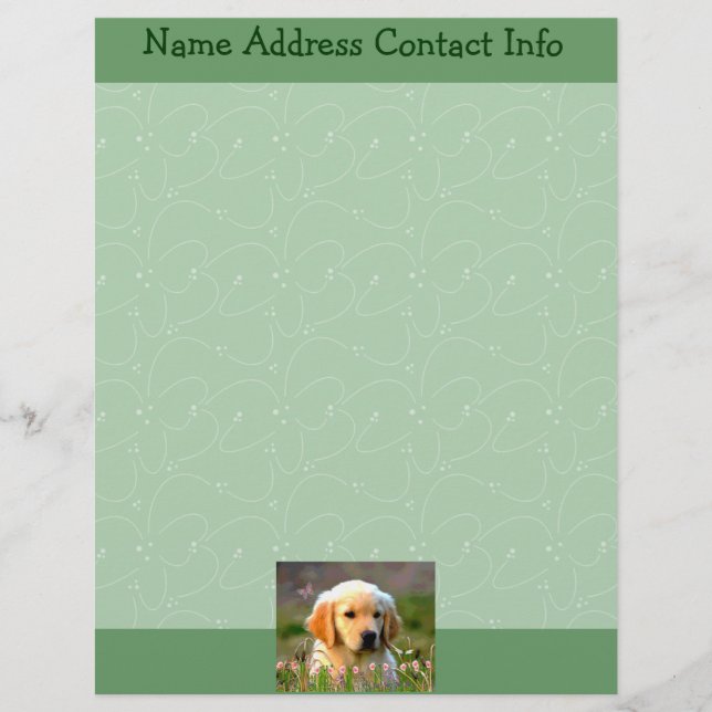 Austin The Golden Labrador Letterhead (Front)