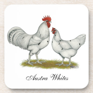Austra White Chickens Coaster