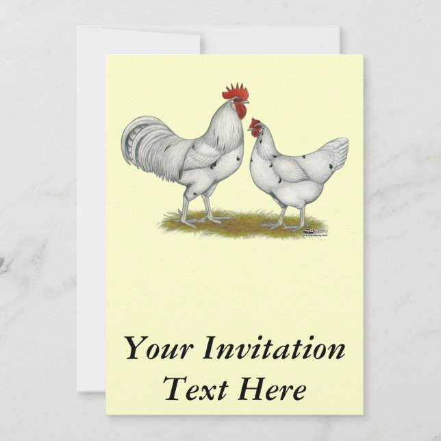 Austra White Chickens Invitation (Front)