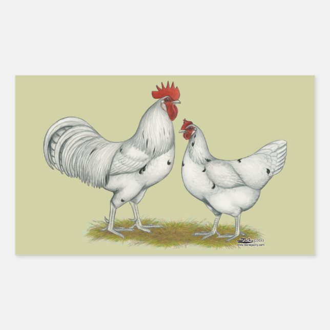 Austra White Chickens Sticker (Front)
