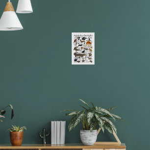 Australia Animals Chart