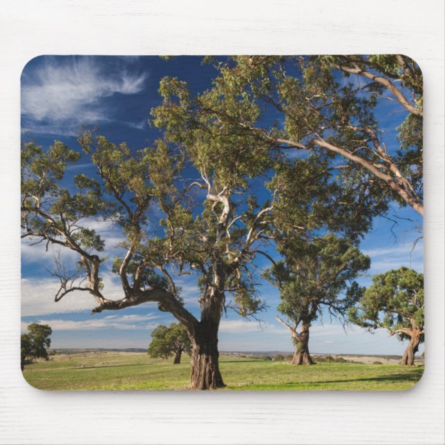 Australia, Barossa Valley, Mount Pleasant Mouse Pad (Front)