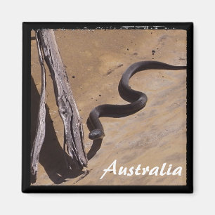 Australia - Brown Snake, Wilderness (Magnet) Magnet