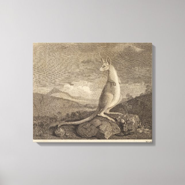 Australia Canvas Print (Front)