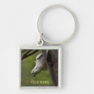 Australia Cockatoo Parrot Bird Upside Down Funny Keychain