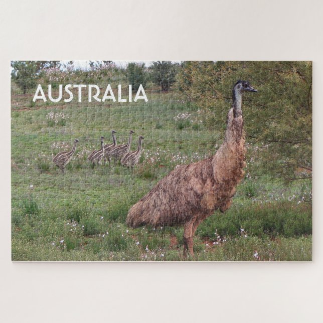 Australia: Father emu and chicks, Outback Jigsaw Puzzle (Horizontal)