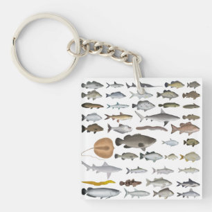 Australia Freshwater Fish Group Keychain