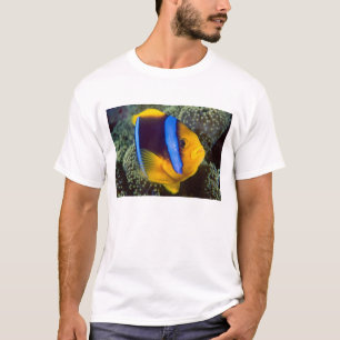 Australia, Great Barrier Reef, Anemonefish T-Shirt