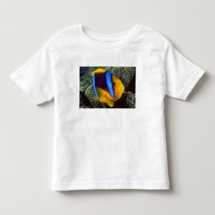 Australia, Great Barrier Reef, Anemonefish Toddler T-shirt